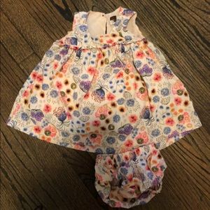 Tea Collection floral dress